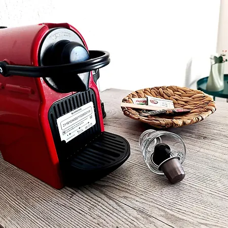 Ocean Case de vacanță