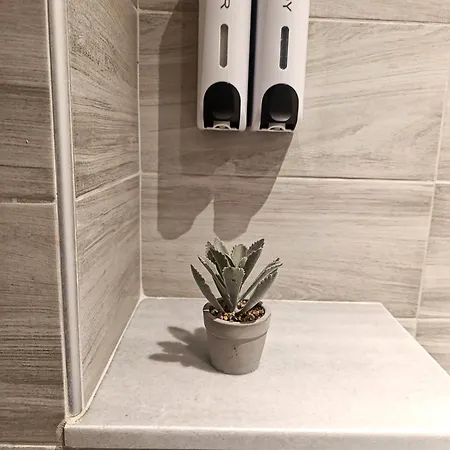 Ocean Case de vacanță